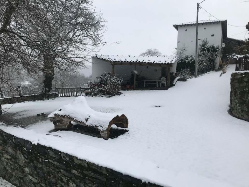 ブラガンサ Casa Do Pomarゲストハウス エクステリア 写真